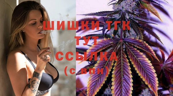 мдпв Инсар