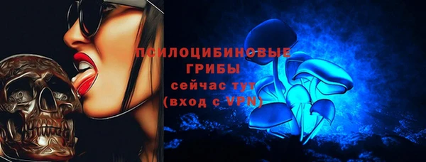 мдпв Инсар