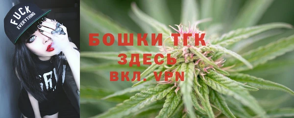 мдпв Инсар