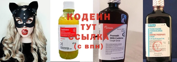 мдпв Инсар