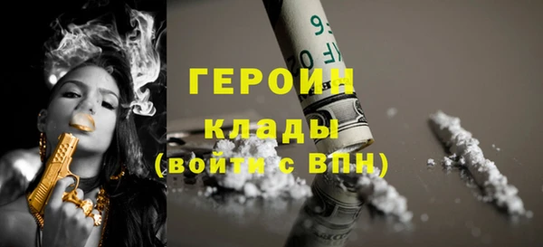 мдпв Инсар
