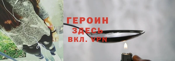 мдпв Инсар