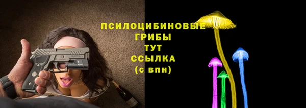 мдпв Инсар