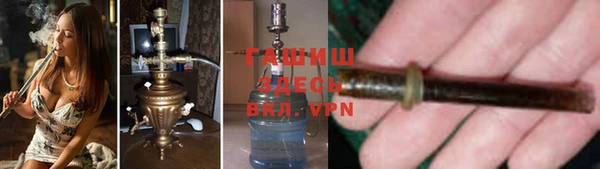 мдпв Инсар