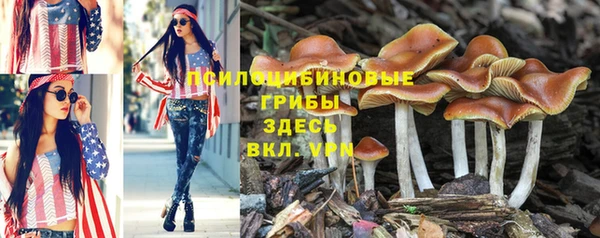 героин Инта
