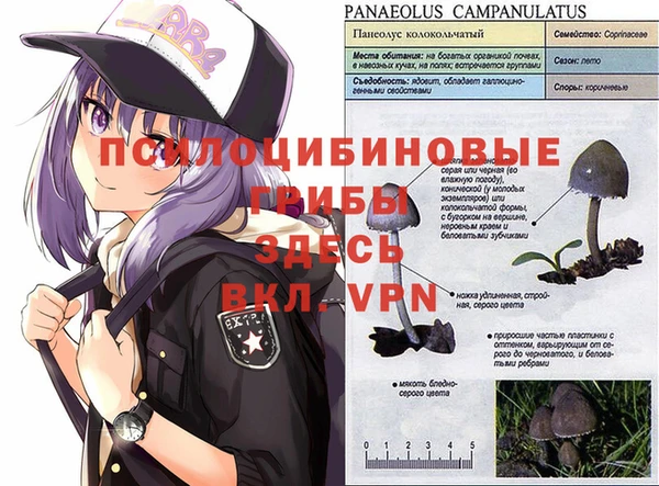 синтетический гашиш Иннополис