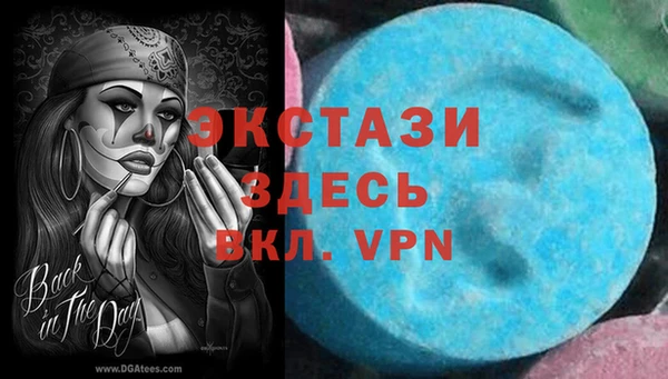 мдпв Инсар