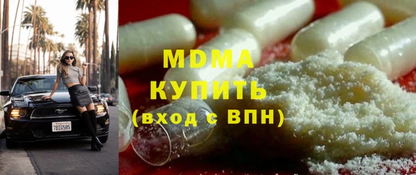 мдпв Инсар
