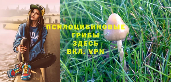 героин Инта