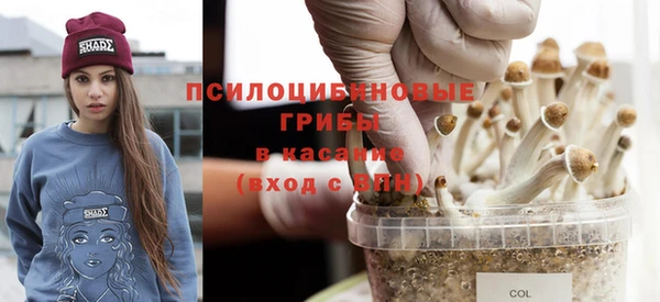 мдпв Инсар