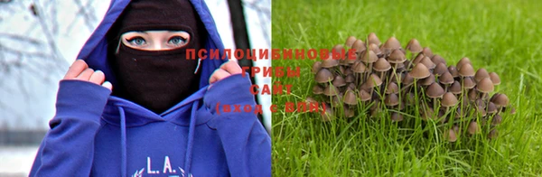 мдпв Инсар