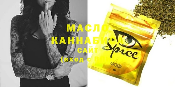 мдпв Инсар